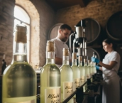 Vína ročníka 2025 a fľašovanie