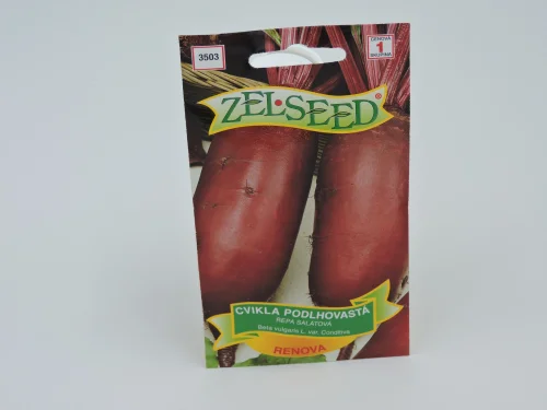 Cvikla podlhovastá Renova