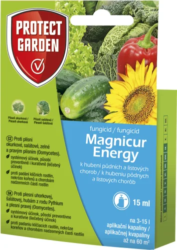 Magnicur Energy 15 ml
