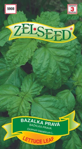 Bazalka Letuce leaf