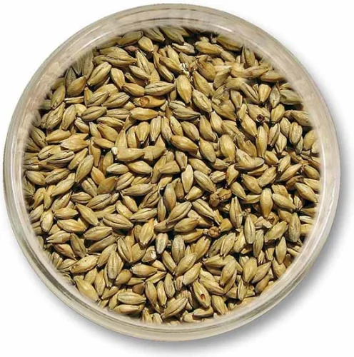 Slad Mníchovský svetlý Viking 1kg