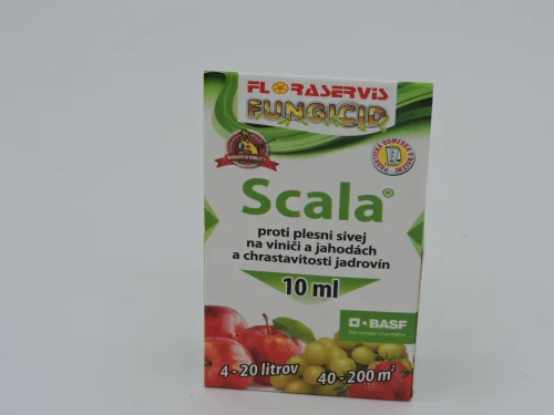 Scala 10 ml
