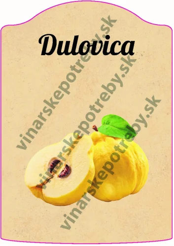 Etiketa Dula Vzor C