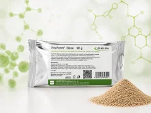 Vitaferm Base 90 g
