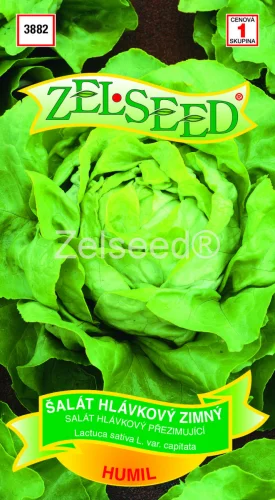 Šalát zimný Humil