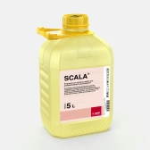 Scala 1kg